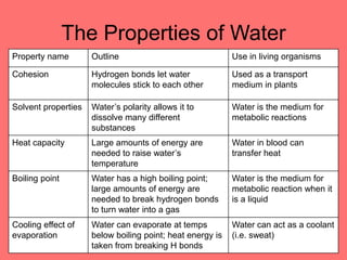 The Properties of Water
Property name Outline Use in living organisms
Cohesion Hydrogen bonds let water
molecules stick to each other
Used as a transport
medium in plants
Solvent properties Water’s polarity allows it to
dissolve many different
substances
Water is the medium for
metabolic reactions
Heat capacity Large amounts of energy are
needed to raise water’s
temperature
Water in blood can
transfer heat
Boiling point Water has a high boiling point;
large amounts of energy are
needed to break hydrogen bonds
to turn water into a gas
Water is the medium for
metabolic reaction when it
is a liquid
Cooling effect of
evaporation
Water can evaporate at temps
below boiling point; heat energy is
taken from breaking H bonds
Water can act as a coolant
(i.e. sweat)
 