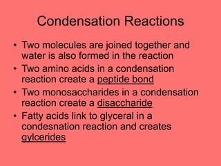 Condensation Reactions
• Two molecules are joined together and
water is also formed in the reaction
• Two amino acids in a condensation
reaction create a peptide bond
• Two monosaccharides in a condensation
reaction create a disaccharide
• Fatty acids link to glyceral in a
condesnation reaction and creates
gylcerides
 