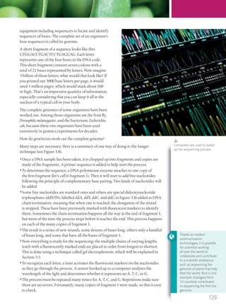 equipment including sequencers to locate and identify
sequences of bases. The complete set of an organism’s
base sequences is called its genome.
A short fragment of a sequence looks like this:
GTGGACCTGACTCCTGAGGAG. Each letter
represents one of the four bases in the DNA code.
This short fragment contains seven codons with a
total of 21 bases represented by letters. Now imagine
3 billion of those letters: what would that look like? If
you printed out 3000 base letters per page, it would
need 1 million pages, which would stack about 100
m high. That’s an impressive quantity of information,
especially considering that you can keep it all in the
nucleus of a typical cell in your body.
The complete genomes of some organisms have been
worked out. Among those organisms are the fruit fly,
Drosophila melanogaster, and the bacterium, Escherichia
coli, because these two organisms have been used
extensively in genetics experiments for decades.
How do geneticists work out the complete genome?
Many steps are necessary. Here is a summary of one way of doing it: the Sanger
technique (see Figure 3.8).
•Once a DNA sample has been taken, it is chopped up into fragments and copies are
made of the fragments. A primer sequence is added to help start the process.
•To determine the sequence, a DNA polymerase enzyme attaches to one copy of
the first fragment (let’s call it fragment 1). Then it will start to add free nucleotides
following the principle of complementary base pairing. Two kinds of nucleotides will
be added.
•Some free nucleotides are standard ones and others are special dideoxynucleotide
triphosphates (ddNTPs; labelled ddA, ddT, ddC, and ddG in Figure 3.8) added as DNA
chain terminators, meaning that when one is reached, the elongation of the strand
is stopped. These have been previously marked with fluorescent markers to identify
them. Sometimes the chain termination happens all the way at the end of fragment 1,
but most of the time the process stops before it reaches the end. This process happens
on each of the many copies of fragment 1.
•The result is a series of new strands, some dozens of bases long, others only a handful
of bases long, and some that have all the bases of fragment 1.
•Now everything is ready for the sequencing: the multiple chains of varying lengths
(each with a fluorescently marked end) are placed in order from longest to shortest.
This is done using a technique called gel electrophoresis, which will be explained in
Section 3.5.
•To recognize each letter, a laser activates the fluorescent markers on the nucleotides
as they go through the process. A sensor hooked up to a computer analyses the
wavelength of the light and determines whether it represents an A, T, C, or G.
•The process must be repeated many times: for A, T, C, and G. Repetitions make sure
there are no errors. Fortunately, many copies of fragment 1 were made, so this is easy
to check.
Computers are used to speed
up the sequencing process.
Thanks to modern
communication
technologies, it is possible
for scientists working
all over the world to
collaborate and contribute
to a scientiﬁc endeavour
such as sequencing the
genome of plants that help
feed the world. Rice is one
example: biologists from
10 countries contributed
to sequencing the ﬁrst rice
genome.
129
M03_BIO_SB_IBDIP_9045_U03.indd 129 26/09/2014 12:10
 