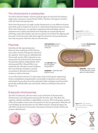 The chromosome in prokaryotes
You will recall from Chapter 1 that the nucleoid region of a bacterial cell contains a
single, long, continuous, circular thread of DNA. Therefore, this region is involved
with cell control and reproduction.
Notice how the presence of a single circular chromosome is a very different situation
from all the cells we looked at in Section 3.1, which always had chromosomes in pairs.
Why is this? Prokaryotes can reproduce using binary fission (dividing), whereas
organisms such as plants and animals more frequently use sexual reproduction
(involving a male and a female). Any time two parents are involved, the offspring will
have pairs of chromosomes rather than single chromosomes. Because prokaryotes
have only one parent, they have only one chromosome.
Plasmids
Escherichia coli, like many prokaryotes
(bacteria), have small loops of DNA that are
extra copies of some of the genetic material of
the organism. These loops are called plasmids.
These small, circular, DNA molecules are not
connected to the main bacterial chromosome.
The plasmids replicate independently of the
chromosomal DNA. Plasmid DNA is not
required by the cell under normal conditions,
but it may help the cell adapt to unusual
circumstances. Plasmids can be found in
Archaea as well as in bacteria.
As we will see later in Section 3.5, these loops can be used in genetic engineering.
Genetic manipulation using plasmids is not possible in eukaryotes such as plants
and animals, because they do not have plasmids. Other techniques must be used for
genetically modified (GM) crops and animals, which we will discuss later (also in
Section 3.5).
Eukaryote chromosomes
The DNA of eukaryotic cells most often occurs in the form of chromosomes.
Chromosomes carry information necessary for the cell to exist. This allows the
organism, whether unicellular or multicellular, to survive. DNA is the genetic material
of the cell. It enables certain traits to be passed on to the next generation. When the cell
is not dividing, the chromosomes are not visible structures. During this phase, the
cell’s DNA is in the form of chromatin. Chromatin is formed of strands of DNA and
proteins called histones.
soft cell wall holds
the cell together
and protects it
cytoplasm – where the cell's
reactions occur
plasmids – small circles
of DNA that also contain
genes to make proteins
cell membrane controls
what goes into and out
of the cell
circular chromosome
made of DNA
Figure 3.10 The DNA in
prokaryotes can be found in
the circular chromosome or in
plasmids.
Figure 3.11 This drawing
shows how DNA is packaged
into chromosomes.
135
M03_BIO_SB_IBDIP_9045_U03.indd 135 26/09/2014 12:10
 