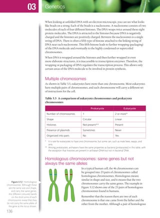 When looking at unfolded DNA with an electron microscope, you can see what looks
like beads on a string. Each of the beads is a nucleosome. A nucleosome consists of two
molecules of each of four different histones. The DNA wraps twice around these eight
protein molecules. The DNA is attracted to the histones because DNA is negatively
charged and the histones are positively charged. Between the nucleosomes is a single
string of DNA. There is often a fifth type of histone attached to the linking string of
DNA near each nucleosome. This fifth histone leads to further wrapping (packaging)
of the DNA molecule and eventually to the highly condensed or supercoiled
chromosomes.
When DNA is wrapped around the histones and then further wrapped in even
more elaborate structures, it is inaccessible to transcription enzymes. Therefore, the
wrapping or packaging of DNA regulates the transcription process. This allows only
certain areas of the DNA molecule to be involved in protein synthesis.
Multiple chromosomes
As shown in Table 3.5, eukaryotes have more than one chromosome. Most eukaryotes
have multiple pairs of chromosomes, and each chromosome will carry a different set
of instructions for the cell.
Table 3.5 A comparison of eukaryote chromosomes and prokaryote
chromosomes
Prokaryote Eukaryote
Number of chromosomes 1 2 or more*
Shape Circular Linear
Histones Not present** Present
Presence of plasmids Sometimes Never
Organized into pairs No Yes
* It is rare for eukaryotes to have one chromosome, but some can, such as male bees, wasps, and
ants.
** Among prokaryotes, archaeans have the same properties as bacteria (prokaryotes) in this table, with
the exception that histones are present in archaean DNA but not in bacterial DNA.
Homologous chromosomes: same genes but not
always the same alleles
In a typical human cell, the 46 chromosomes can
be grouped into 23 pairs of chromosomes called
homologous chromosomes. Homologous means
similar in shape and size, and it means that the two
chromosomes carry the same genes. The example in
Figure 3.12 shows one of the 23 pairs of homologous
chromosomes found in humans.
Remember that the reason there are two of each
chromosome is that one came from the father and the
other from the mother. Although a pair of homologous
Figure 3.12 Homologous
chromosomes. Although these
are the same size and shape,
and carry the same genes,
the different coloured bands
on the short arms of each
chromosome reveal that they
do not carry the same allele of
the gene at the locus shown.
136
Genetics03
M03_BIO_SB_IBDIP_9045_U03.indd 136 26/09/2014 12:10
 