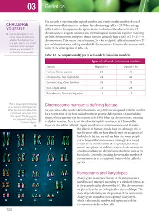 The variable n represents the haploid number, and it refers to the number of sets of
chromosomes that a nucleus can have. For a human egg cell, n = 23. When an egg
cell is fertilized by a sperm cell (a sperm is also haploid and therefore contains 23
chromosomes), a zygote is formed and the two haploid nuclei fuse together, matching
up their chromosomes into pairs. Hence humans generally have a total of 23 + 23 = 46
chromosomes. This means that in humans, 2n = 46, so diploid cells in humans have 23
pairs of chromosomes making a total of 46 chromosomes. Compare this number with
some of the other species in Table 3.6.
Table 3.6 A comparison of types of cells and chromosome numbers
Types of cells and chromosome numbers
Species Haploid = n Diploid = 2n
Human, Homo sapiens 23 46
Chimpanzee, Pan troglodytes 24 48
Domestic dog, Canis familiaris 39 78
Rice, Oryza sativa 12 24
Roundworm, Parascaris equorum 1 2
Chromosome number: a deﬁning feature
As you can see, the number 46 for humans is very different compared with the number
for a worm. One of the best-studied worms in genetics laboratories is Caenorhabditis
elegans, whose genome was first sequenced in 1998. It has six chromosomes, meaning
its diploid number, 2n, is 6, and therefore its haploid number, n, is 3. It would be
expected that all the cells in C. elegans would have six chromosomes, and, likewise,
that all cells in humans would have 46. Although this is
true for most cells, we have already seen the exception of
haploid cells (n), and we will see later that some people
can be born with chromosomes missing (45 or fewer)
or with extra chromosomes (47 or greater), but these
remain exceptions. In addition, some cells do not contain
a nucleus and have no chromosomes to show, such as red
blood cells. Generally speaking, however, the number of
chromosomes is a characteristic feature of the cells of a
species.
Karyograms and karyotypes
A karyogram is a representation of the chromosomes
found in a cell arranged according to a standard format, as
in the example in the photo to the left. The chromosomes
are placed in order according to their size and shape. The
shape depends mainly on the position of the centromere.
A karyogram is used to show a person’s karyotype,
which is the specific number and appearance of the
chromosomes in his or her cells.
This is a karyogram showing
all 23 pairs of chromosomes.
What can we learn about the
individual’s karyotype from
this ﬁgure? This karyogram
was prepared using false
colour imagery.
CHALLENGE
YOURSELF
4 Use the karyogram in the
photo below to determine
whether the child is a boy
or a girl. How do you know?
Does the child’s karyotype
include any anomalies? If
so, describe what you see.
138
Genetics03
M03_BIO_SB_IBDIP_9045_U03.indd 138 26/09/2014 12:11
 