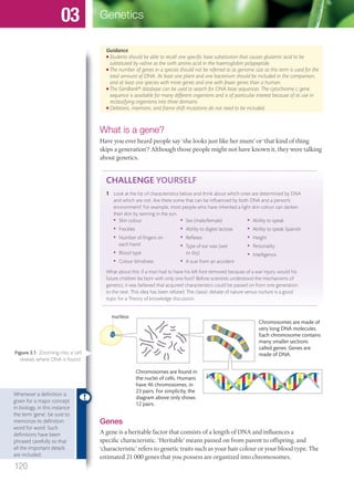 Guidance
● Students should be able to recall one speciﬁc base substitution that causes glutamic acid to be
substituted by valine as the sixth amino acid in the haemoglobin polypeptide.
● The number of genes in a species should not be referred to as genome size as this term is used for the
total amount of DNA. At least one plant and one bacterium should be included in the comparison,
and at least one species with more genes and one with fewer genes than a human.
● The GenBank® database can be used to search for DNA base sequences. The cytochrome c gene
sequence is available for many different organisms and is of particular interest because of its use in
reclassifying organisms into three domains.
● Deletions, insertions, and frame shift mutations do not need to be included.
What is a gene?
Have you ever heard people say ‘she looks just like her mum’ or ‘that kind of thing
skips a generation’? Although those people might not have known it, they were talking
about genetics.
CHALLENGE YOURSELF
1 Look at the list of characteristics below and think about which ones are determined by DNA
and which are not. Are there some that can be inﬂuenced by both DNA and a person’s
environment? For example, most people who have inherited a light skin colour can darken
their skin by tanning in the sun.
• Skin colour
• Freckles
• Number of ﬁngers on
each hand
• Blood type
• Colour blindness
• Sex (male/female)
• Ability to digest lactose
• Reﬂexes
• Type of ear wax (wet
or dry)
• A scar from an accident
• Ability to speak
• Ability to speak Spanish
• Height
• Personality
• Intelligence
What about this: if a man had to have his left foot removed because of a war injury, would his
future children be born with only one foot? Before scientists understood the mechanisms of
genetics, it was believed that acquired characteristics could be passed on from one generation
to the next. This idea has been refuted. The classic debate of nature versus nurture is a good
topic for a Theory of knowledge discussion.
nucleus
Chromosomes are found in
the nuclei of cells. Humans
have 46 chromosomes, in
23 pairs. For simplicity, the
diagram above only shows
12 pairs.
Chromosomes are made of
very long DNA molecules.
Each chromosome contains
many smaller sections
called genes. Genes are
made of DNA.
Genes
A gene is a heritable factor that consists of a length of DNA and influences a
specific characteristic. ‘Heritable’ means passed on from parent to offspring, and
‘characteristic’ refers to genetic traits such as your hair colour or your blood type. The
estimated 21 000 genes that you possess are organized into chromosomes.
Whenever a deﬁnition is
given for a major concept
in biology, in this instance
the term ‘gene’, be sure to
memorize its deﬁnition
word for word. Such
deﬁnitions have been
phrased carefully so that
all the important details
are included.
Figure 3.1 Zooming into a cell
reveals where DNA is found.
120
Genetics03
M03_BIO_SB_IBDIP_9045_U03.indd 120 26/09/2014 12:09
 