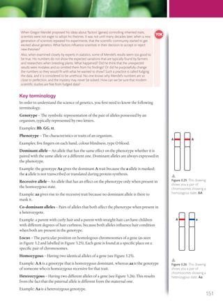 Figure 3.25 This drawing
shows you a pair of
chromosomes showing a
homozygous state, AA.
Figure 3.26 This drawing
shows you a pair of
chromosomes showing a
heterozygous state, Aa.
Key terminology
In order to understand the science of genetics, you first need to know the following
terminology.
Genotype – The symbolic representation of the pair of alleles possessed by an
organism, typically represented by two letters.
Examples: Bb, GG, tt.
Phenotype – The characteristics or traits of an organism.
Examples: five fingers on each hand, colour blindness, type O blood.
Dominant allele – An allele that has the same effect on the phenotype whether it is
paired with the same allele or a different one. Dominant alleles are always expressed in
the phenotype.
Example: the genotype Aa gives the dominant A trait because the a allele is masked;
the a allele is not transcribed or translated during protein synthesis.
Recessive allele – An allele that has an effect on the phenotype only when present in
the homozygous state.
Example: aa gives rise to the recessive trait because no dominant allele is there to
mask it.
Co-dominant alleles – Pairs of alleles that both affect the phenotype when present in
a heterozygote.
Example: a parent with curly hair and a parent with straight hair can have children
with different degrees of hair curliness, because both alleles influence hair condition
when both are present in the genotype.
Locus – The particular position on homologous chromosomes of a gene (as seen
in Figure 3.2 and labelled in Figure 3.25). Each gene is found at a specific place on a
specific pair of chromosomes.
Homozygous – Having two identical alleles of a gene (see Figure 3.25).
Example: AA is a genotype that is homozygous dominant, whereas aa is the genotype
of someone who is homozygous recessive for that trait.
Heterozygous – Having two different alleles of a gene (see Figure 3.26). This results
from the fact that the paternal allele is different from the maternal one.
Example: Aa is a heterozygous genotype.
When Gregor Mendel proposed his ideas about ‘factors’ (genes) controlling inherited traits,
scientists were not eager to adopt his theories. It was not until many decades later, when a new
generation of scientists repeated his experiments, that the scientiﬁc community started to get
excited about genetics. What factors inﬂuence scientists in their decision to accept or reject
new theories?
Also, when examined closely by experts in statistics, some of Mendel’s results seem too good to
be true. His numbers do not show the expected variations that are typically found by farmers
and researchers when breeding plants. What happened? Did he think that the unexpected
results were mistakes and so omitted them from his ﬁndings? Or did he purposefully change
the numbers so they would ﬁt with what he wanted to show? Such a practice is called fudging
the data, and it is considered to be unethical. No one knows why Mendel’s numbers are so
close to perfection, and the mystery may never be solved. How can we be sure that modern
scientiﬁc studies are free from fudged data?
A A
A a
151
M03_BIO_SB_IBDIP_9045_U03.indd 151 26/09/2014 12:11
 