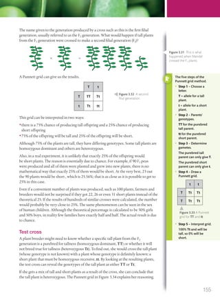 The name given to the generation produced by a cross such as this is the first filial
generation, usually referred to as the F1 generation. What would happen if tall plants
from the F1 generation were crossed to make a second filial generation (F2)?
ϫ ϭ
A Punnett grid can give us the results.
T t
T TT Tt
t Tt tt
This grid can be interpreted in two ways:
•there is a 75% chance of producing tall offspring and a 25% chance of producing
short offspring
•75% of the offspring will be tall and 25% of the offspring will be short.
Although 75% of the plants are tall, they have differing genotypes. Some tall plants are
homozygous dominant and others are heterozygous.
Also, in a real experiment, it is unlikely that exactly 25% of the offspring would
be short plants. The reason is essentially due to chance. For example, if 90 F2 peas
were produced and all of them were planted and grew into new plants, there is no
mathematical way that exactly 25% of them would be short. At the very best, 23 out
the 90 plants would be short , which is 25.56%; that is as close as it is possible to get to
25% in this case.
Even if a convenient number of plants was produced, such as 100 plants, farmers and
breeders would not be surprised if they got 22, 26 or even 31 short plants instead of the
theoretical 25. If the results of hundreds of similar crosses were calculated, the number
would probably be very close to 25%. The same phenomenon can be seen in the sex
of human children. Although the theoretical percentage is calculated to be 50% girls
and 50% boys, in reality few families have exactly half and half. The actual result is due
to chance.
Test cross
A plant breeder might need to know whether a specific tall plant from the F2
generation is a purebred for tallness (homozygous dominant, TT) or whether it will
not breed true for tallness (heterozygous Tt). To find out, she would cross the tall plant
(whose genotype is not known) with a plant whose genotype is definitely known: a
short plant that must be homozygous recessive, tt. By looking at the resulting plants,
the test cross can reveal the genotypes of the tall plant as either TT or Tt.
If she gets a mix of tall and short plants as a result of the cross, she can conclude that
the tall plant is heterozygous. The Punnett grid in Figure 3.34 explains her reasoning.
Figure 3.32 A second
ﬁlial generation.
The ﬁve steps of the
Punnett grid method.
• Step 1 – Choose a
letter.
T = allele for a tall
plant.
t = allele for a short
plant.
• Step 2 – Parents’
genotypes.
TT for the purebred
tall parent.
tt for the purebred
short parent.
• Step 3 – Determine
gametes.
The purebred tall
parent can only give T.
The purebred short
parent can only give t.
• Step 4 – Draw a
Punnett grid.
t t
T Tt Tt
T Tt Tt
• Step 5 – Interpret grid.
100% Tt and will be
tall, so 0% will be
short.
Figure 3.33 A Punnett
grid for TT and tt.
Figure 3.31 This is what
happened when Mendel
crossed the F1 plants.
155
M03_BIO_SB_IBDIP_9045_U03.indd 155 26/09/2014 12:11
 