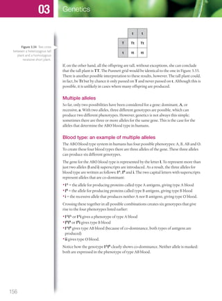 t t
T Tt Tt
t tt tt
If, on the other hand, all the offspring are tall, without exceptions, she can conclude
that the tall plant is TT. The Punnett grid would be identical to the one in Figure 3.33.
There is another possible interpretation to these results, however. The tall plant could,
in fact, be Tt but by chance it only passed on T and never passed on t. Although this is
possible, it is unlikely in cases where many offspring are produced.
Multiple alleles
So far, only two possibilities have been considered for a gene: dominant, A, or
recessive, a. With two alleles, three different genotypes are possible, which can
produce two different phenotypes. However, genetics is not always this simple;
sometimes there are three or more alleles for the same gene. This is the case for the
alleles that determine the ABO blood type in humans.
Blood type: an example of multiple alleles
The ABO blood type system in humans has four possible phenotypes: A, B, AB and O.
To create these four blood types there are three alleles of the gene. These three alleles
can produce six different genotypes.
The gene for the ABO blood type is represented by the letter I. To represent more than
just two alleles (I and i) superscripts are introduced. As a result, the three alleles for
blood type are written as follows: IA
, IB
and i. The two capital letters with superscripts
represent alleles that are co-dominant:
•IA
= the allele for producing proteins called type A antigens, giving type A blood
•IB
= the allele for producing proteins called type B antigens, giving type B blood
•i = the recessive allele that produces neither A nor B antigens, giving type O blood.
Crossing these together in all possible combinations creates six genotypes that give
rise to the four phenotypes listed earlier:
•IA
IA
or IA
i gives a phenotype of type A blood
•IB
IB
or IB
i gives type B blood
•IA
IB
gives type AB blood (because of co-dominance, both types of antigens are
produced)
•ii gives type O blood.
Notice how the genotype IA
IB
clearly shows co-dominance. Neither allele is masked:
both are expressed in the phenotype of type AB blood.
Figure 3.34 Test cross
between a heterozygous tall
plant and a homozygous
recessive short plant.
156
Genetics03
M03_BIO_SB_IBDIP_9045_U03.indd 156 26/09/2014 12:11
 