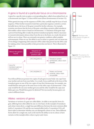 A gene is found at a particular locus on a chromosome
A gene for a specific trait occupies a corresponding place, called a locus (plural loci), on
a chromosome (see Figure 3.2; there will be more about chromosomes in Section 3.2).
When geneticists map out the sequences of DNA, they carefully map the locus of each
sequence. When further research reveals that a particular sequence controls a certain
heritable factor, the locus of the gene is noted for further reference. For example,
scientists now know that the locus of the gene controlling a protein called transducin
that enables colour vision is found on chromosome 1. A mutation of this gene stops
a person from being able to make the protein transducin properly, which is necessary
to transmit information about colour from the eye to the brain; as a result, the person
will not see in colour. This is an extremely rare genetic condition called complete
achromatopsia. When we say ‘the ability to see in colour is a genetic trait’ we mean one
of two things is happening with someone’s DNA: either that person has the DNA code
for making colour vision possible or that person does not have it. This is illustrated in
Figure 3.3.
Where the gene is
found:
Sequence of
bases (starting at
position 229):
Protein and trait:
. . . CACCAGCAACCC . . . Transducin protein
synthesized, colour vision
possible
Locus for
transducin gene on
chromosome 1
. . . CACCAGTAACCC . . . Protein not formed
correctly, colour vision
not possible
You will recall that you possess two copies of each gene in your body: one copy from
your mother and one from your father. As a result, if you could look at the locus of the
transducin gene on one of the two copies of your first chromosome, for example, you
would find the same gene at the same locus on the other copy of chromosome 1. One
copy would be the one your mother gave you and the other would be the copy your
father gave you. Would those genes be identical? Not necessarily, because genes can
come in different forms.
Alleles: versions of genes
Variations or versions of a gene are called alleles. An allele is one specific form of a
gene, differing from other alleles by one or a few bases. In the example of transducin
and colour vision above, a single base pair difference between the most common allele
(with a C at position 235) and the rare mutated allele (with a T at position 235) is all
that is takes to determine whether you can distinguish colours or not. These different
forms allow for a single trait, such as the trait for the ability to see in colour, to have
variants, in this example either colour or grey-scale vision.
Figure 3.2 The locus is the
speciﬁc position of a gene on
a chromosome.
locus
Figure 3.3 The presence of a
C or a T makes a big difference
in colour vision.
121
M03_BIO_SB_IBDIP_9045_U03.indd 121 26/09/2014 12:09
 