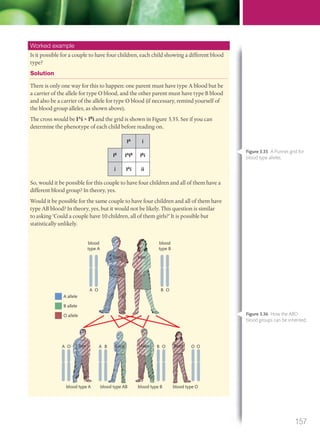 Worked example
Is it possible for a couple to have four children, each child showing a different blood
type?
Solution
There is only one way for this to happen: one parent must have type A blood but be
a carrier of the allele for type O blood, and the other parent must have type B blood
and also be a carrier of the allele for type O blood (if necessary, remind yourself of
the blood group alleles, as shown above).
The cross would be IA
i × IB
i and the grid is shown in Figure 3.35. See if you can
determine the phenotype of each child before reading on.
IA
i
IB
IA
IB
IB
i
i IA
i ii
So, would it be possible for this couple to have four children and all of them have a
different blood group? In theory, yes.
Would it be possible for the same couple to have four children and all of them have
type AB blood? In theory, yes, but it would not be likely. This question is similar
to asking ‘Could a couple have 10 children, all of them girls?’ It is possible but
statistically unlikely.
blood
type A
A O B O
A allele
B allele
O allele
blood type A blood type AB blood type B blood type O
Tom
blood
type B
A O A B B O O OBen Lucy Alan Beth
Kate
Figure 3.35 A Punnet grid for
blood type alleles.
Figure 3.36 How the ABO
blood groups can be inherited.
157
M03_BIO_SB_IBDIP_9045_U03.indd 157 26/09/2014 12:12
 