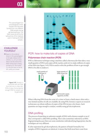 PCR: how to make lots of copies of DNA
Polymerase chain reaction (PCR)
PCR is a laboratory technique using a machine called a thermocycler that takes a very
small quantity of DNA and copies all the nucleic acids in it to make millions of copies
of the DNA (see Figure 3.43). PCR is used to solve the problem of how to get enough
DNA to be able to analyse it.
small quantity of
DNA goes in
large quantity of
DNA comes out
thermocycler copies
segments of DNA
When collecting DNA from the scene of a crime or from a cheek smear, often only a
very limited number of cells are available. By using PCR, forensics experts or research
technicians can obtain millions of copies of the DNA in just a few hours. Such
quantities are large enough to analyse, notably using gel electrophoresis.
DNA proﬁling
The process of matching an unknown sample of DNA with a known sample to see if
they correspond is called DNA profiling. This is also sometimes referred to as DNA
fingerprinting because there are some similarities with identifying fingerprints, but the
techniques are very different.
If, after separation by gel electrophoresis, the pattern of bands formed by two
samples of DNA fragments are identical, it means that both most have come from
CHALLENGE
YOURSELF
11 Based on the evidence
shown in the autoradiogram
to the right, deduce which
child (C1, C2, or C3) is most
likely to be the child of the
father whose track is being
pointed to (F). The mother
is in the ﬁrst track on the far
left. Justify your answer.
This autoradiogram (or
autoradiograph) shows
banded lines that were
formed from nine different
DNA samples during
gel electrophoresis. The
black traces are left by the
radioactivity of the materials
used in marking the DNA
samples.
Figure 3.43 Analysis is
impossible with the DNA
from just one or a few cells.
PCR is a way of ensuring that
enough DNA for analysis can
be generated.
168
Genetics03
M03_BIO_SB_IBDIP_9045_U03.indd 168 26/09/2014 12:12
 