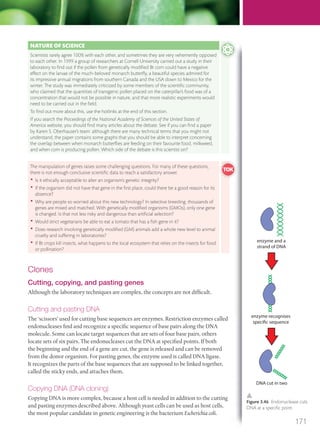 Clones
Cutting, copying, and pasting genes
Although the laboratory techniques are complex, the concepts are not difficult.
Cutting and pasting DNA
The ‘scissors’ used for cutting base sequences are enzymes. Restriction enzymes called
endonucleases find and recognize a specific sequence of base pairs along the DNA
molecule. Some can locate target sequences that are sets of four base pairs, others
locate sets of six pairs. The endonucleases cut the DNA at specified points. If both
the beginning and the end of a gene are cut, the gene is released and can be removed
from the donor organism. For pasting genes, the enzyme used is called DNA ligase.
It recognizes the parts of the base sequences that are supposed to be linked together,
called the sticky ends, and attaches them.
Copying DNA (DNA cloning)
Copying DNA is more complex, because a host cell is needed in addition to the cutting
and pasting enzymes described above. Although yeast cells can be used as host cells,
the most popular candidate in genetic engineering is the bacterium Escherichia coli.
NATURE OF SCIENCE
Scientists rarely agree 100% with each other, and sometimes they are very vehemently opposed
to each other. In 1999 a group of researchers at Cornell University carried out a study in their
laboratory to ﬁnd out if the pollen from genetically modiﬁed Bt corn could have a negative
effect on the larvae of the much-beloved monarch butterﬂy, a beautiful species admired for
its impressive annual migrations from southern Canada and the USA down to Mexico for the
winter. The study was immediately criticized by some members of the scientiﬁc community,
who claimed that the quantities of transgenic pollen placed on the caterpillar’s food was of a
concentration that would not be possible in nature, and that more realistic experiments would
need to be carried out in the ﬁeld.
To ﬁnd out more about this, use the hotlinks at the end of this section.
If you search the Proceedings of the National Academy of Sciences of the United States of
America website, you should ﬁnd many articles about the debate. See if you can ﬁnd a paper
by Karen S. Oberhauser’s team: although there are many technical terms that you might not
understand, the paper contains some graphs that you should be able to interpret concerning
the overlap between when monarch butterﬂies are feeding on their favourite food, milkweed,
and when corn is producing pollen. Which side of the debate is this scientist on?
The manipulation of genes raises some challenging questions. For many of these questions,
there is not enough conclusive scientiﬁc data to reach a satisfactory answer.
• Is it ethically acceptable to alter an organism’s genetic integrity?
• If the organism did not have that gene in the ﬁrst place, could there be a good reason for its
absence?
• Why are people so worried about this new technology? In selective breeding, thousands of
genes are mixed and matched. With genetically modiﬁed organisms (GMOs), only one gene
is changed. Is that not less risky and dangerous than artiﬁcial selection?
• Would strict vegetarians be able to eat a tomato that has a ﬁsh gene in it?
• Does research involving genetically modiﬁed (GM) animals add a whole new level to animal
cruelty and suffering in laboratories?
• If Bt crops kill insects, what happens to the local ecosystem that relies on the insects for food
or pollination?
enzyme and a
strand of DNA
enzyme recognises
specific sequence
DNA cut in two
Figure 3.46 Endonuclease cuts
DNA at a speciﬁc point.
171
M03_BIO_SB_IBDIP_9045_U03.indd 171 26/09/2014 12:12
 