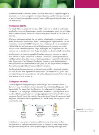 recombinant DNA as described above. One of the main reasons for producing a GMO
is so that it can be more competitive in food production. Another common reason is
to ‘teach’ a bacterium to produce proteins that are useful in medical applications, as we
saw with insulin.
Transgenic plants
The simplest kind of genetically modified (GM) food is one in which an undesirable
gene has been removed. In some cases, another, more desirable, gene is put in its place,
while in other cases only the introduction of a new gene is needed, no DNA has to be
removed.
Whichever technique is applied, the end result is either that the organism no longer
shows the undesired trait or that it shows a trait that genetic engineers want. The first
commercial example of a GM food was the Flavr Savr tomato. It was first sold in the
USA in 1994, and had been genetically modified to delay the ripening and rotting
process so that it would stay fresher longer. Although it was an ingenious idea, the
company lost so much money from the project that it was abandoned a few years later.
Another species of tomato was modified by a bioengineering company to make it
more tolerant to higher levels of salt in the soil. This made it easier to grow in areas
with high salinity. One of the claims of the biotech industry is that GM foods will help
solve the problem of world hunger, by allowing farmers to grow foods in various,
otherwise unsuitable, environments. Critics point out that the problem of hunger in
the world is one of food distribution, not food production.
Another plant of potential interest to the developing world is a genetically modified
rice plant that has been engineered to produce beta carotene in the rice grains. The
aim is that the people who eat this rice will not be deficient in vitamin A (the body uses
beta carotene to form vitamin A).
Transgenic animals
One way of genetically engineering an animal is to get it to produce a substance
that can be used in medical treatments. Consider the problem faced by people with
haemophilia. The reason their blood does not clot is because they lack a protein
called factor IX. If such people could be supplied with factor IX, their problem would
be solved. The least expensive way of producing large amounts of factor IX is to use
transgenic sheep. If a gene that codes for the production of factor IX is associated with
the genetic information for milk production in a female sheep, she will produce that
protein in her milk.
gene for
human
protein
factor IX
GM sheep
that synthesizes
factor IX
milk
containing
factor IX
In the future, a wide variety of genetic modifications may be possible, perhaps
inserting genes to make animals more resistant to parasites, to make sheep produce
pre-dyed wool of any chosen colour, to produce prize-winning show dogs, faster
Figure 3.48 Producing factor
IX using a transgenic sheep.
173
M03_BIO_SB_IBDIP_9045_U03.indd 173 26/09/2014 12:12
 