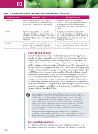 Table 3.3 A summary of different types of mutations: not all mutations are negative
Type of mutation Example in plants Example in animals
Detrimental A mutation that does not allow a plant to
produce a chemical that it secretes against
insect attacks, thereby making it vulnerable
A mutation that makes it impossible to
produce a certain digestive enzyme, thereby
making digestion difﬁcult and therefore
compromising the ability of the organism to
survive
Neutral A single base substitution in a gene for
chlorophyll that does not change the amino
acid coded for, and therefore does not modify
the chlorophyll (e.g. GUA and GUG both code
for valine)
A single base substitution in a gene for
haemoglobin that does not change the amino
acid coded for, and therefore does not modify
the haemoglobin (e.g. GAG and GAA both
code for glutamic acid)
Beneﬁcial A mutation giving a plant the ability to make
a protein that increases its frost resistance,
which would be beneﬁcial in colder climates
A mutation changing the shape or size of the
lens of the eye, giving the animal more acute
vision for ﬁnding prey
Gene therapy is the process of taking a beneﬁcial gene from a person who possesses it
and putting it into a person who does not have it, but who needs it to stay healthy. The
challenge is that it is very difﬁcult to get the DNA into the sick person’s cells. One way
is to force the gene into the patient’s cells using a virus to deliver it. Partly because of
a lack of understanding of how to use viruses safely to deliver genes, the decision was
made to stop all testing of gene therapy on human patients in the USA in 1999, when
an 18-year-old patient died after a virus had been injected into his body. However,
gene therapy trials are coming back, little by little, notably in helping blind children to
regain their eyesight.
Who decides whether an experiment is safe? Is the loss of life for some patients
participating in trials necessary in order to ﬁnd a cure? If years of research had not been
delayed because human trials had been stopped, wouldn’t we have made much more
progress by now in curing genetic diseases?
Base substitution mutation
The type of mutation that results in a single letter being changed is called a base
substitution mutation. The consequence of changing one base could mean that a
A gene to help digestion
For most of our existence, humans have been hunter-gatherers and our genes are
generally well adapted for this lifestyle. Originally, as for all mammals, the only age at
which we drank milk was when we were infants. By the time our ancestors reached
adulthood, their bodies had stopped being able to digest milk; more precisely, humans
could not break down the disaccharide in milk called lactose. This continues to be the
case for most of the human population today: more than half of the human population
has lactose intolerance and those people can only digest lactose in their infancy. In the
past 10 000 years, however, many human populations have adopted an agricultural-
based lifestyle, raising animals for milk and consuming dairy products on a daily
basis. In their genetic makeup, many agricultural societies show a higher frequency
of the genetic code that allows humans to digest lactose throughout adulthood. From
an evolutionary point of view, this advantage has increased humans’ ability to survive
harsh climatic conditions. As European human populations spread out and established
populations outside Europe, notably in North America, they brought their lactose
tolerance (and their livestock) with them.
126
Genetics03
M03_BIO_SB_IBDIP_9045_U03.indd 126 26/09/2014 12:10
 