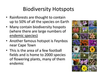 Biodiversity Hotspots
• Rainforests are thought to contain
up to 50% of all the species on Earth
• Many contain biodiversity hospots
(where there are large numbers of
endemic species)
• Another famous hotspot is Feynbos
near Cape Town
• This is the area of a few football
fields and is home to 2000 species
of flowering plants, many of them
endemic
 