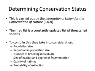 Determining Conservation Status
• This is carried out by the International Union for the
Conservation of Nature (IUCN)
• Their red list is a constantly updated list of threatened
species
• To compile this they take into consideration:
– Population size
– Reduction in population size
– Number of breeding individuals
– Size of habitat and degree of fragmentation
– Quality of habitat
– Probability of extinction
 