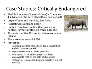 Case Studies: Critically Endangered
• Black Rhinoceros (Diceros bicornis) – There are
4 subspecies (Western Black Rhino now extinct)
• Largely Kenya and Namibia, East Africa
• Habitat: Grassland and desert
• Hunted close to extinction (European sport
hunters, farmers protecting crops, poachers)
• At the start of the 21st century there were less
than 50
• There are now around 4 500
• Protection:
– Existing protected areas have been established
and old ones expanded
– Improved security to deter poachers
– International law enforcement has been
improved to restrict the sale of rhino horn
– Ecotourism is an expanding and lucrative market
in Africa
 
