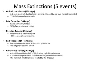 Mass Extinctions (5 events)
• Ordovician-Silurian (439 mya)
– A drop in sea levels due to glaciers forming, followed by sea-level rise as they melted
– 57% of all genera became extinct
• Late Devonian (364 mya)
– Cause currently unknown
– 50% of genera became extinct
• Permian-Triassic (251 mya)
– Possibly due to asteroid impact
– 83% of genera became extinct
• End Triassic (214 – 199 mya)
– Due to increased volcanic activity on a global scale
– 48% of genera became extinct
• Cretaceous-Tertiary (65 mya)
– Asteroid impact in the Gulf of Mexico that ended the dinosaurs
– 47% of marine genera and 18% of terrestrial genera became extinct
– The mammals filled the niches vacated by the dinosaurs
 