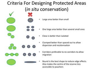 Criteria For Designing Protected Areas
(in situ conservation)
• Large area better than small
• One large area better than several small ones
• Close is better than isolated
• Clumped better than spaced out to allow
dispersion and recolonisation
• Corridors preferable to no corridors to allow
migration
• Round is the best shape to reduce edge effects.
Also makes the centre of the reserve less
accessible to poachers
 