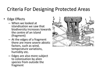 Criteria For Designing Protected Areas
• Edge Effects
– When we looked at
islandisation we saw that
biodiversity increases towards
the centre of an island
(fragment)
– At the edges of a fragment
there are more severe abiotic
factors, such as wind,
temperature variations,
humidity etc.
– Edges are also more subject
to colonisation by alien
species from outside the
fragment
 