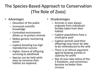 The Species-Based Approach to Conservation
(The Role of Zoos)
• Advantages
– Education of the public
– Increased scientific
knowledge
– Controlled environment
allows us to protect animals
– Makes genetic monitoring
easier
– Captive breeding has high
reproductive success
– Higher chance of offspring
surviving to adulthood
– Species can be held while
ways to conserve their
habitat are explored
• Disadvantages
– Animals in zoos always
originate from individuals
forcibly taken from their
habitat
– Captive populations have a
small gene pool
– Captive animals (and their
offspring) may never be able
to be reintroduced to the wild
– There is an ethical argument
against keeping animals in
captivity for profit
– Not all zoos take notice of the
5 freedoms, and sometimes
become no better than
circuses
 