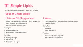 Comprehensive Overview of Lipids and Their Role in Biological Membranes ...