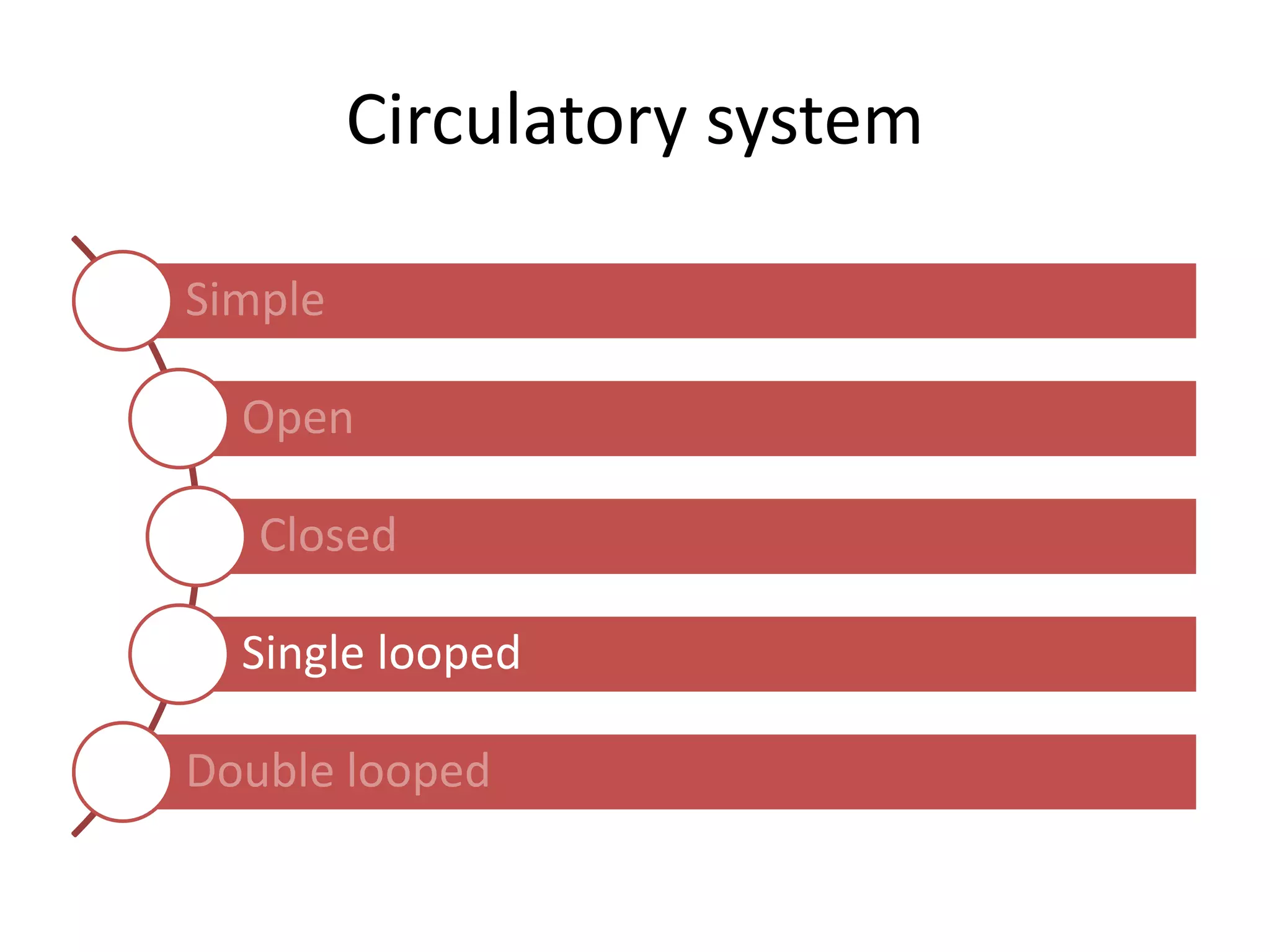 Circulatory system
Simple
Open
Closed
Single looped
Double looped
 
