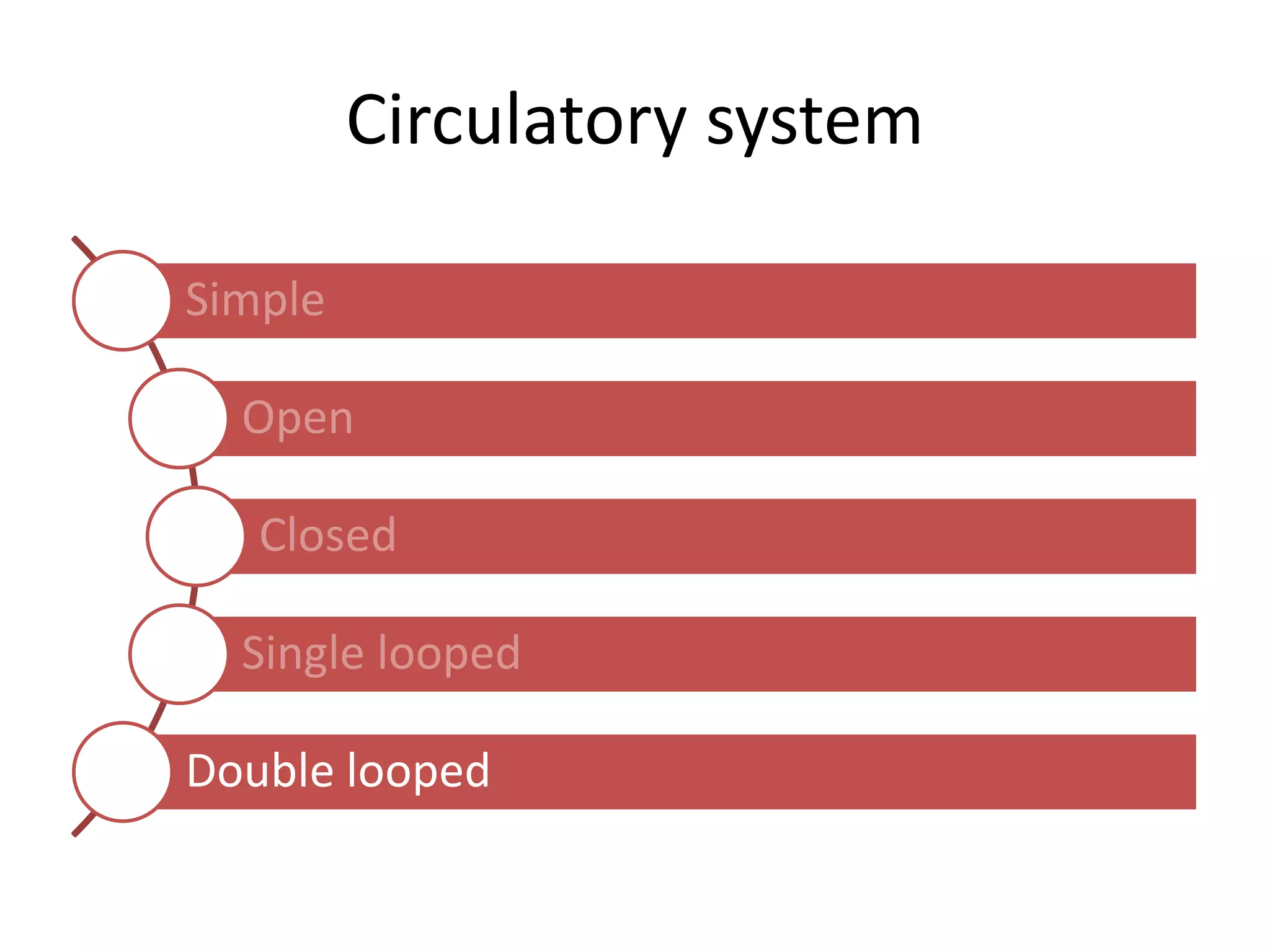 Circulatory system
Simple
Open
Closed
Single looped
Double looped
 