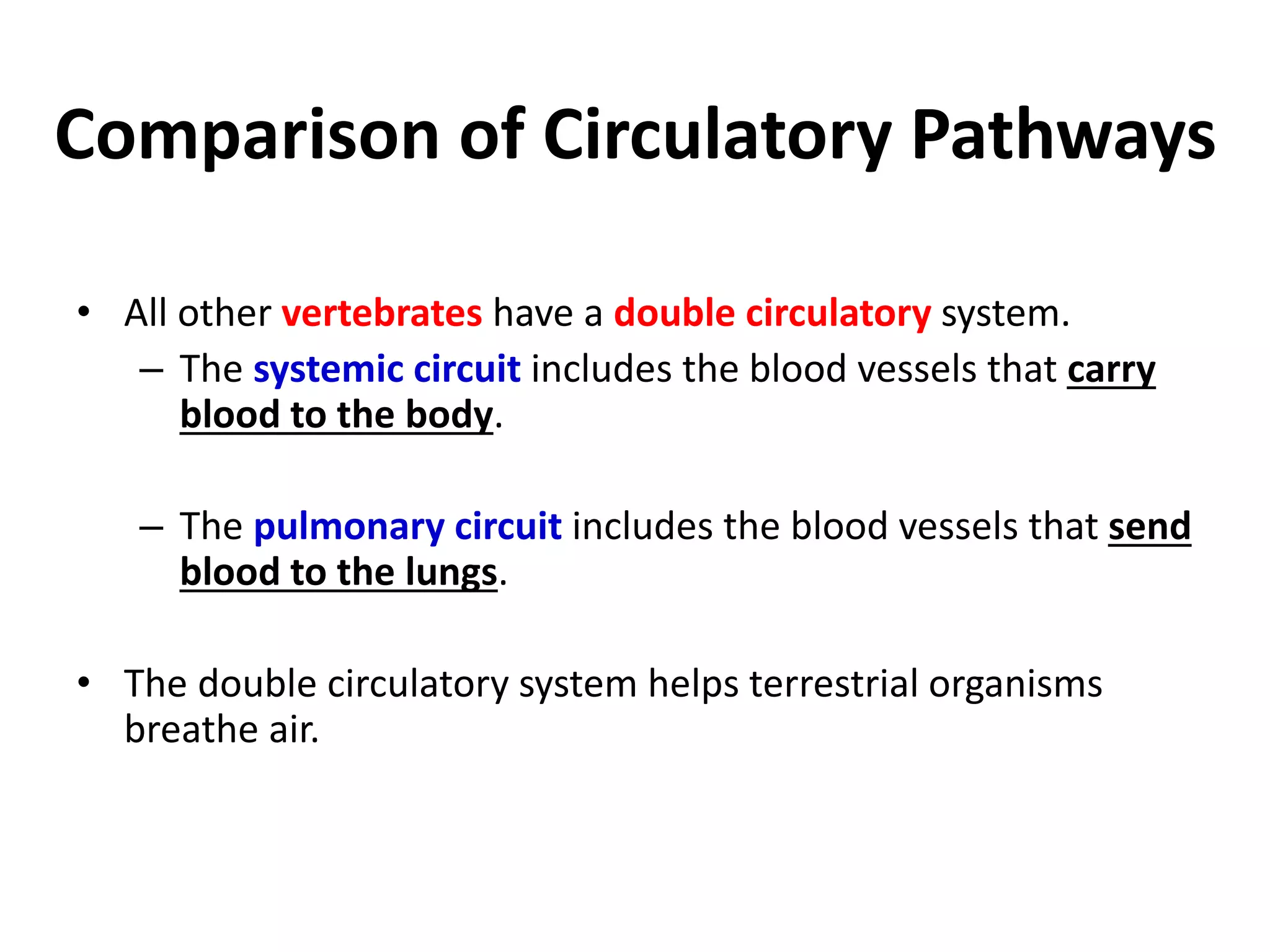 Comparison of Circulatory Pathways
• All other vertebrates have a double circulatory system.
– The systemic circuit includes the blood vessels that carry
blood to the body.
– The pulmonary circuit includes the blood vessels that send
blood to the lungs.
• The double circulatory system helps terrestrial organisms
breathe air.
 