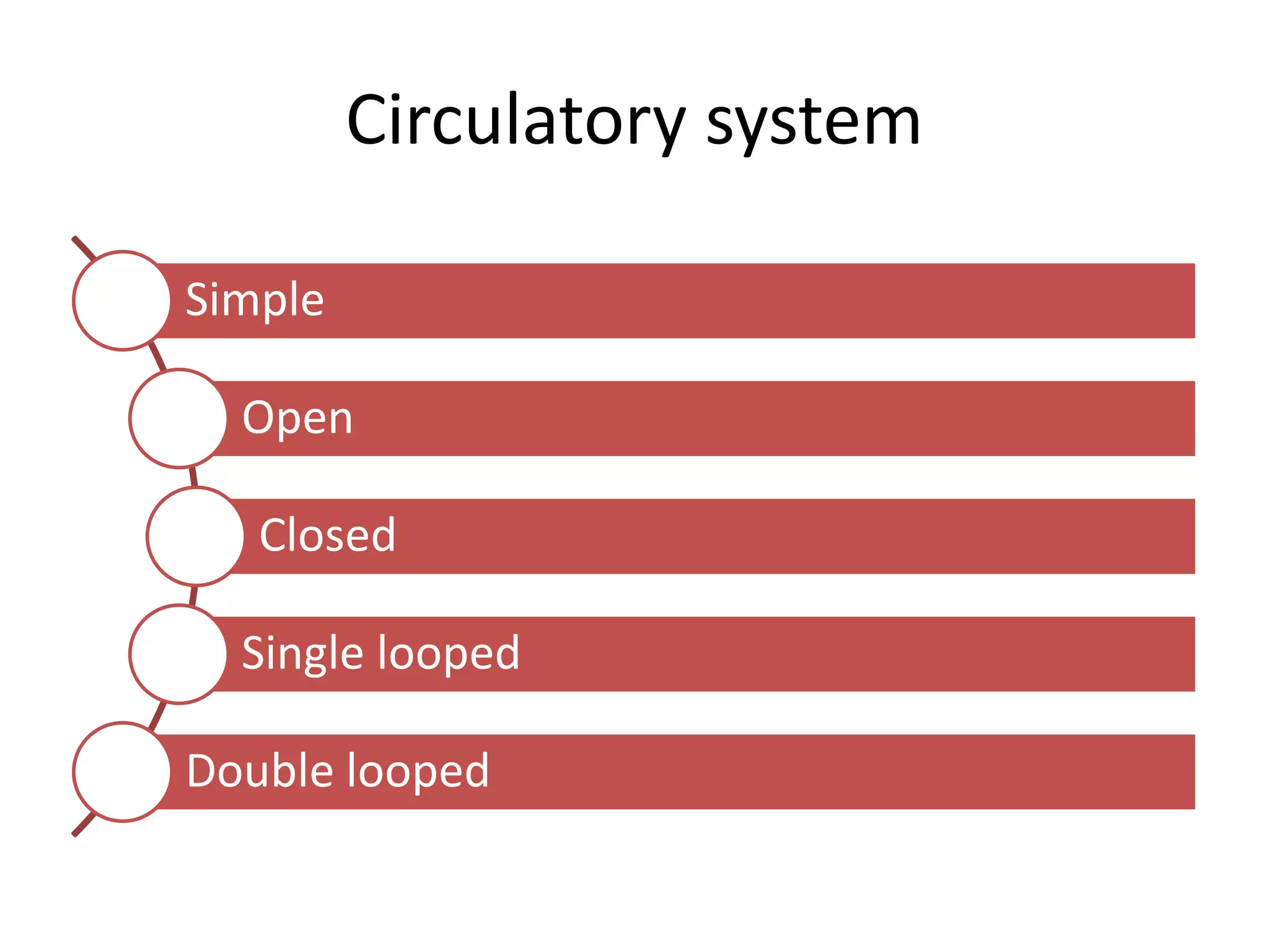 Circulatory system
Simple
Open
Closed
Single looped
Double looped
 