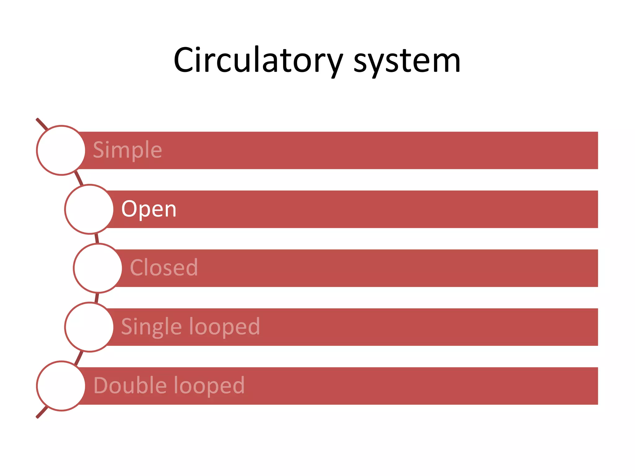 Circulatory system
Simple
Open
Closed
Single looped
Double looped
 