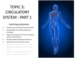 TOPIC 3:
CIRCULATORY
SYSTEM : PART 1
Learning outcomes:
1. Compare open and closed circulatory system
2. Identify different circulatory pathways in
vertebrates
3. Explain the composition of human circulatory
system and its functions
4. Describe capillary exchange in the tissues
5. Explain the human circulation system
6. Describe blood circulation in human heart
7. Describe the composition and functions of
blood
8. Explain the function of lymphatic system
9. Explain the roles of immune system
 