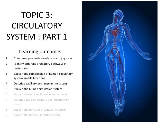topic 3 circulatory system part 1 functions of the circulatory system