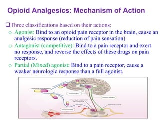 Opioid Analgesics: Mechanism of Action
❑Three classifications based on their actions:
o Agonist: Bind to an opioid pain receptor in the brain, cause an
analgesic response (reduction of pain sensation).
o Antagonist (competitive): Bind to a pain receptor and exert
no response, and reverse the effects of these drugs on pain
receptors.
o Partial (Mixed) agonist: Bind to a pain receptor, cause a
weaker neurologic response than a full agonist.
 