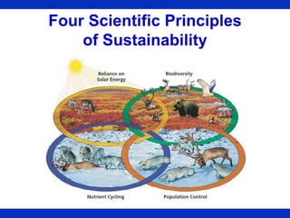Four Scientific Principles
of Sustainability
 