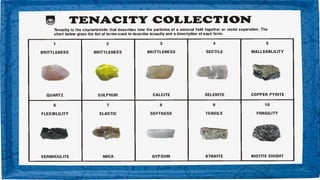 Science Rocks Topic EARTH AND LIFE SCIENCE TOPIC 3 - ROCKS AND MINERALS.pptx