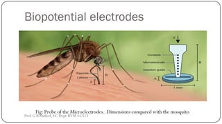 Biopotential electrodes
Fig: Probe of the Microelectrodes.. Dimensions compared with the mosquito
Prof.G.B.Rathod, EC Dept.BVM-EC453
 