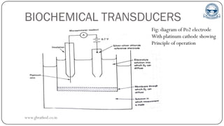 BIOCHEMICAL TRANSDUCERS
Fig: diagram of Po2 electrode
With platinum cathode showing
Principle of operation
www.gbrathod.co.in
 