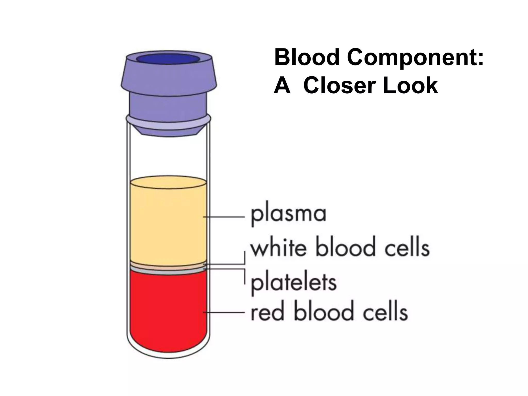 Blood Component:
A Closer Look
 