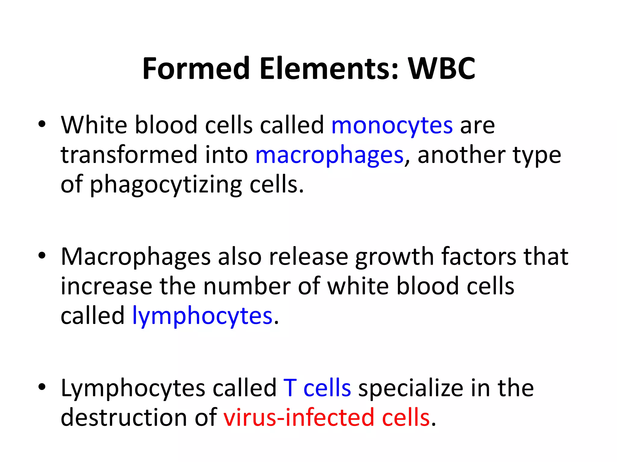 Formed Elements: WBC
• White blood cells called monocytes are
transformed into macrophages, another type
of phagocytizing cells.
• Macrophages also release growth factors that
increase the number of white blood cells
called lymphocytes.
• Lymphocytes called T cells specialize in the
destruction of virus-infected cells.
 