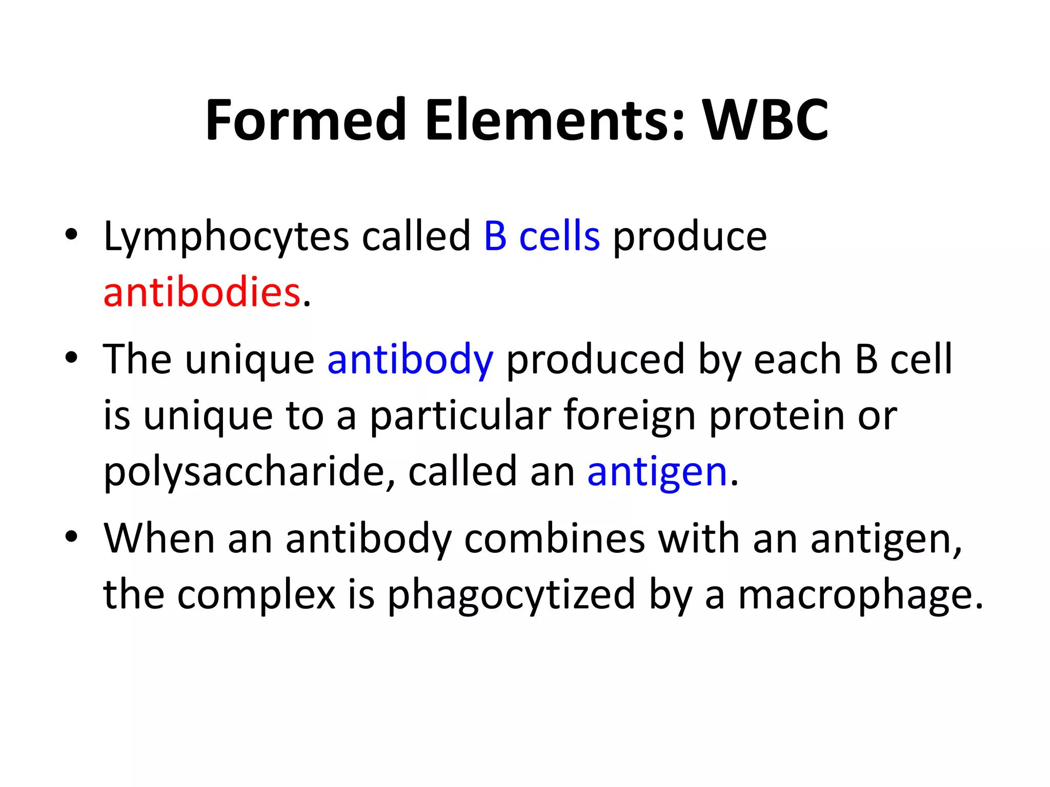 Formed Elements: WBC
• Lymphocytes called B cells produce
antibodies.
• The unique antibody produced by each B cell
is unique to a particular foreign protein or
polysaccharide, called an antigen.
• When an antibody combines with an antigen,
the complex is phagocytized by a macrophage.
 