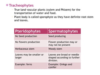 TOPIC 3 CLASSIFICATION OF PLANTS & ANIMALS.pptx