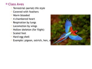 TOPIC 3 CLASSIFICATION OF PLANTS & ANIMALS.pptx