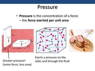 Pressure
• Pressure is the concentration of a force
– the force exerted per unit area
Greater pressure!
(same force, less area)
Exerts a pressure on the
sides and through the fluid
 