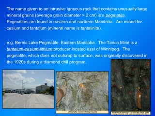 The name given to an intrusive igneous rock that contains unusually large mineral grains (average grain diameter > 2 cm) is a  pegmatite .  Pegmatites are found in eastern and northern Manitoba.  Are mined for cesium and tantalum (mineral name is tantalinite).   e.g. Bernic Lake Pegmatite, Eastern Manitoba.   The Tanco Mine is a  tantalum-cesium-lithium  producer located east of Winnipeg.  The pegmatite, which does not outcrop to surface, was originally discovered in the 1920s during a diamond drill program.  