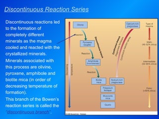Discontinuous Reaction Series Discontinuous reactions led to the formation of completely different minerals as the magma cooled and reacted with the crystallized minerals. Minerals associated with this process are olivine, pyroxene, amphibole and biotite mica (in order of decreasing temperature of formation). This branch of the Bowen’s reaction series is called the  “ discontinuous branch ” . 