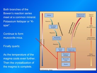 Both branches of the Bowen’s reaction series meet at a common mineral. Potassium feldspar or “K-spar”. Continue to form muscovite mica. Finally quartz. As the temperature of the magma cools even further. Then the crystallization of the magma is complete. 
