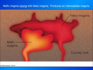 Mafic magma  mixing  with felsic magma.  Produces an intermediate magma. 
