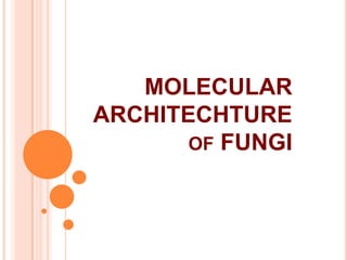 MOLECULAR
ARCHITECHTURE
OF FUNGI
 