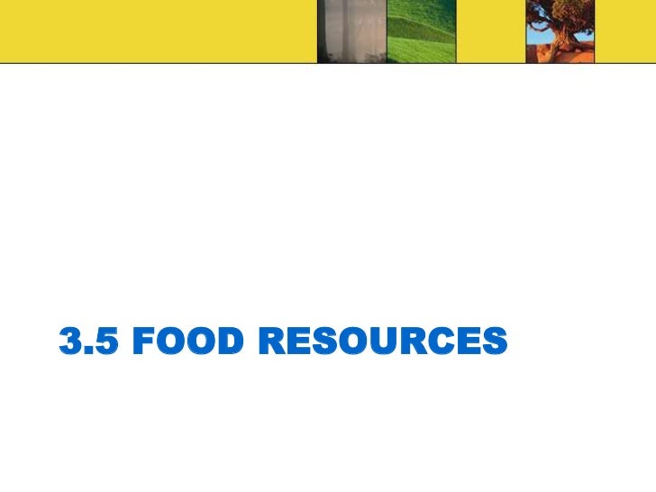 High Efficiency Vs Low Efficiency Food High Efficiency Vs Low Efficiency Food