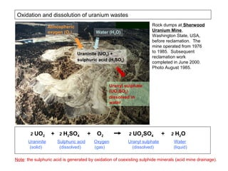 Oxidation and dissolution of uranium wastes
                  Atmospheric                                         Rock dumps at Sherwood
                  oxygen (O2)               Water (H2O)               Uranium Mine,
                                                                      Washington State, USA,
                                                                      before reclamation. The
                                                                      mine operated from 1976
                                Uraninite (UO2) +                     to 1985. Subsequent
                                                                      reclamation work
                                sulphuric acid (H2SO4)
                                                                      completed in June 2000.
                                                                      Photo August 1985.



                                                  Uranyl sulphate
                                                  (UO2SO4)
                                                  dissolved in
                                                  water
                                                                      http://ecorestoration.montana
                                                                      .edu/mineland/histories/miner
                                                                      als/sherwood/default.htm#


       2   UO2     +   2   H2SO4        +    O2           2   UO2SO4        +    2   H2O
      Uraninite        Sulphuric acid       Oxygen        Uranyl sulphate            Water
       (solid)          (dissolved)         (gas)           (dissolved)              (liquid)

Note: the sulphuric acid is generated by oxidation of coexisting sulphide minerals (acid mine drainage).
 