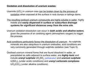 Oxidation and dissolution of uranium wastes:

Uraninite (UO2) in uranium ores can be broken down by the process of
   oxidation when exposed at the surface in rock dumps or tailings dams.

The resulting oxidised uranium compounds are highly soluble in water, highly
   mobile and easily dispersed in surface or subsurface drainage
   systems for significant distances away from the mine site.

Uranium oxidation-dissolution can occur in both acidic and alkaline waters,
   given the presence of an oxidising agent (atmospheric oxygen) to trigger
   the process.

Acid conditions particularly favour the dissolution of uranium. As sulphide
   minerals are also ubiquitous in uranium orebodies, acid conditions are
   very commonly generated through sulphide oxidation (see Topic 5).

Oxidised uranium mineral forms that are found dissolved in water, or
   precipitated as salts adjacent to surface water, are highly toxic and
   include uranyl sulphate UO2SO4 (yellowcake!) and uranium sulphate
   U(SO4)2 (under acidic conditions) and uranyl carbonate complexes
   UO2(CO3)n (under alkaline conditions).
 